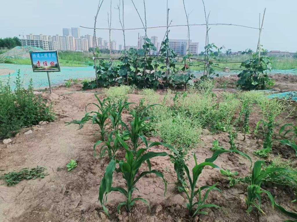 谈球吧(中国)官方网站