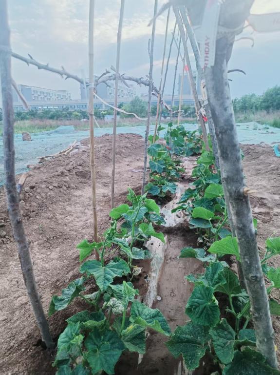 谈球吧(中国)官方网站