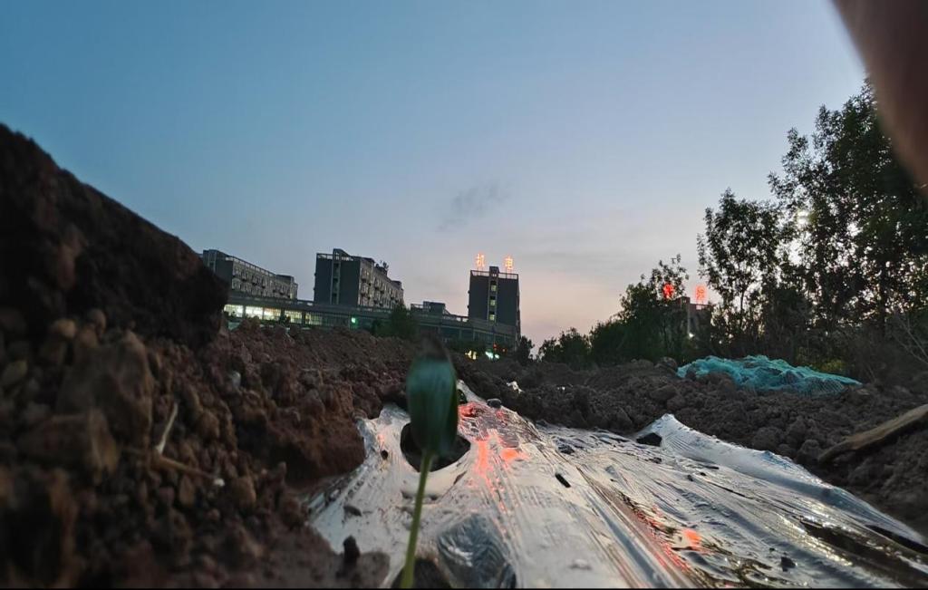 谈球吧(中国)官方网站