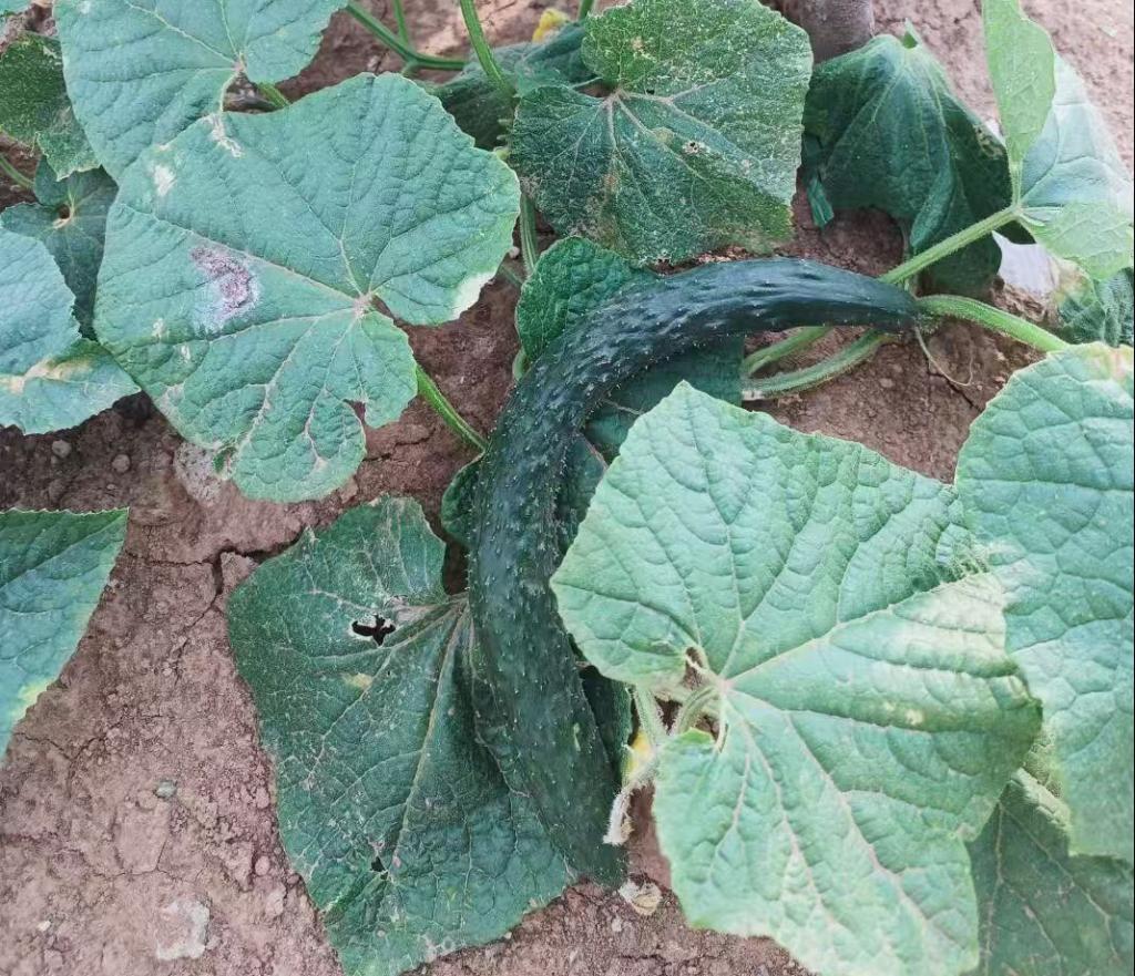 谈球吧(中国)官方网站